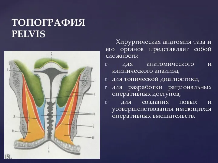 ТОПОГРАФИЯ PELVIS Хирургическая анатомия таза и его органов представляет собой сложность: