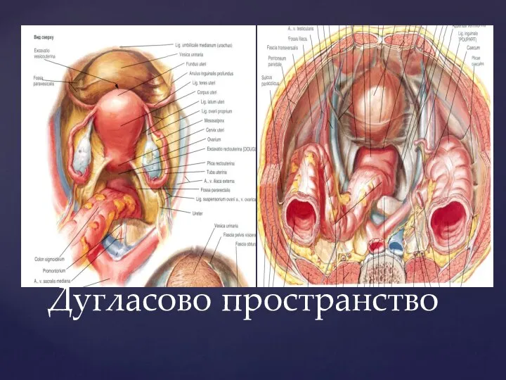 Дугласово пространство