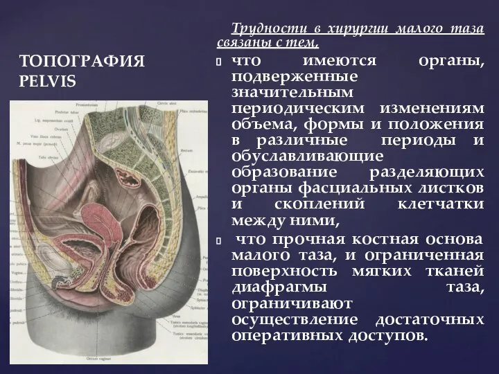 ТОПОГРАФИЯ PELVIS Трудности в хирургии малого таза связаны с тем, что