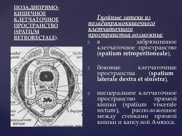 ПОЗАДИПРЯМО-КИШЕЧНОЕ КЛЕТЧАТОЧНОЕ ПРОСТРАНСТВО (SPATIUM RETRORECTALE). Гнойные затеки из позадипрямокишечного клетчаточного пространства