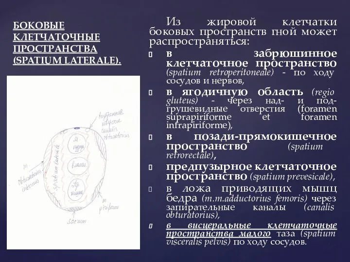 БОКОВЫЕ КЛЕТЧАТОЧНЫЕ ПРОСТРАНСТВА (SPATIUM LATERALE). Из жировой клетчатки боковых пространств гной