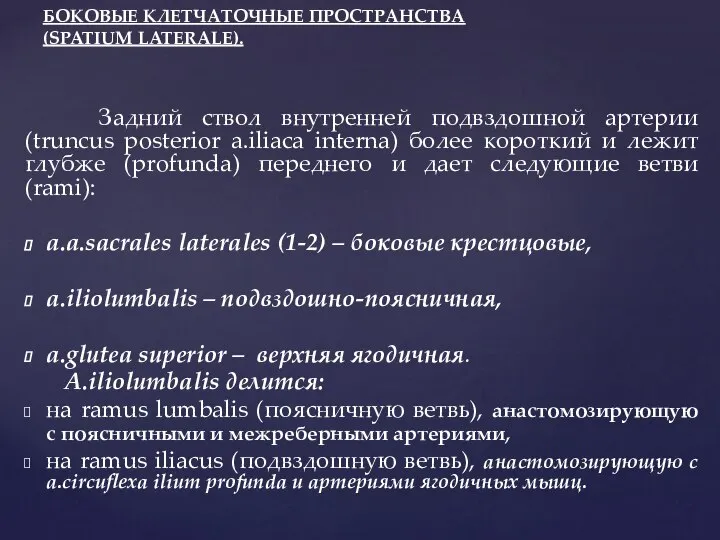 Задний ствол внутренней подвздошной артерии (truncus posterior a.iliaca interna) более короткий