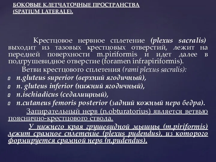 Крестцовое нервное сплетение (plexus sacralis) выходит из тазовых крестцовых отверстий, лежит