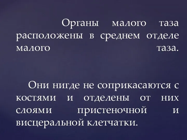 Органы малого таза расположены в среднем отделе малого таза. Они нигде