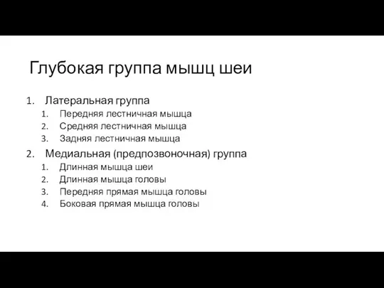 Глубокая группа мышц шеи Латеральная группа Передняя лестничная мышца Средняя лестничная