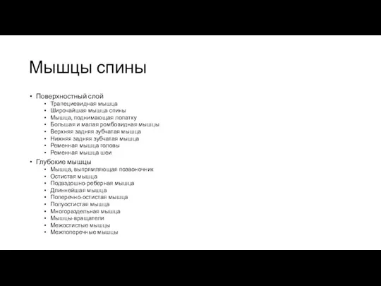 Мышцы спины Поверхностный слой Трапециевидная мышца Широчайшая мышца спины Мышца, поднимающая