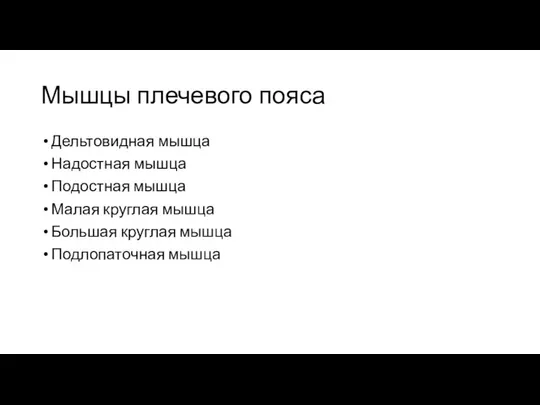 Мышцы плечевого пояса Дельтовидная мышца Надостная мышца Подостная мышца Малая круглая