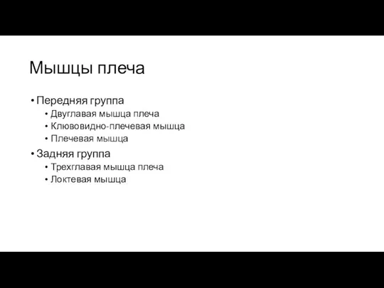 Мышцы плеча Передняя группа Двуглавая мышца плеча Клювовидно-плечевая мышца Плечевая мышца