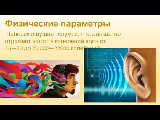 Человек ощущает слухом, т. е. адекватно отражает частоту колебаний волн от