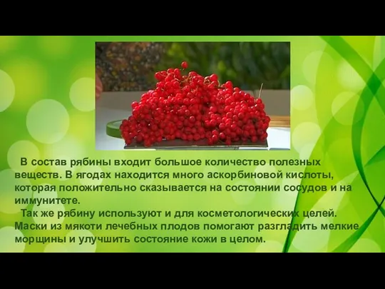 В состав рябины входит большое количество полезных веществ. В ягодах находится