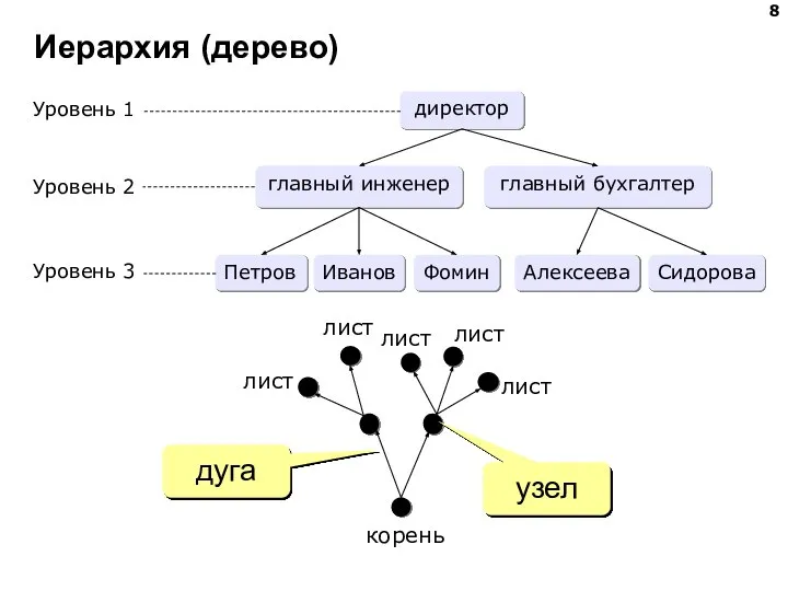 Иерархия (дерево) узел дуга