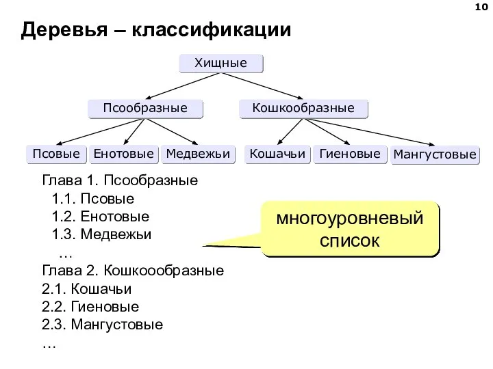 Деревья – классификации Глава 1. Псообразные 1.1. Псовые 1.2. Енотовые 1.3.