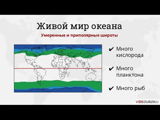 Живой мир океана Много кислорода Много планктона Много рыб Умеренные и приполярные широты