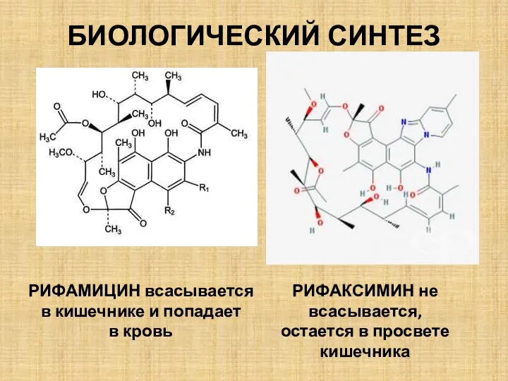 БИОЛОГИЧЕСКИЙ СИНТЕЗ РИФАМИЦИН всасывается в кишечнике и попадает в кровь РИФАКСИМИН