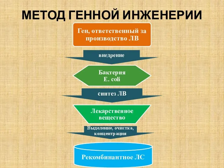 МЕТОД ГЕННОЙ ИНЖЕНЕРИИ