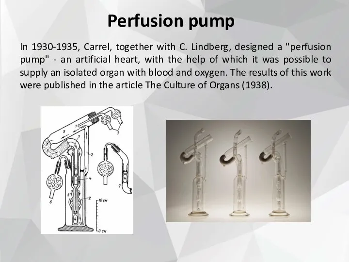 Perfusion pump In 1930-1935, Carrel, together with C. Lindberg, designed a