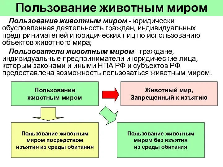 Пользование животным миром Пользование животным миром - юридически обусловленная деятельность граждан,