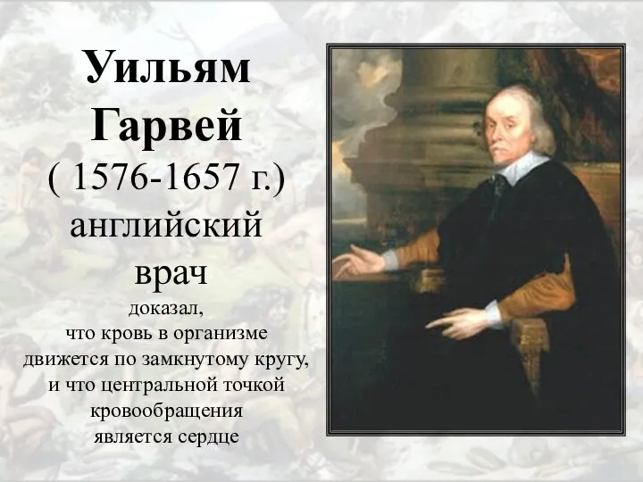 Уильям Гарвей ( 1576-1657 г.) английский врач доказал, что кровь в