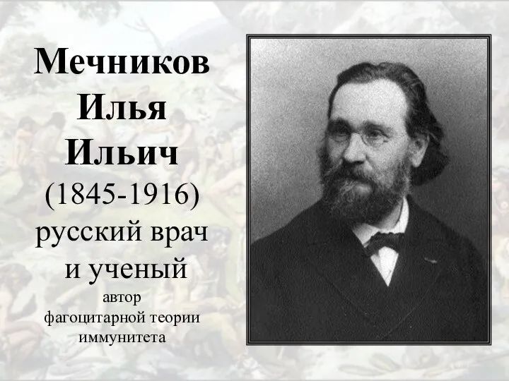 Мечников Илья Ильич (1845-1916) русский врач и ученый автор фагоцитарной теории иммунитета