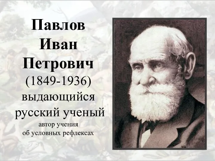 Павлов Иван Петрович (1849-1936) выдающийся русский ученый автор учения об условных рефлексах