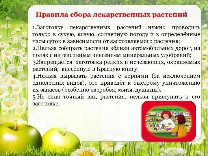 1.Заготовку лекарственных растений нужно проводить только в сухую, ясную, солнечную погоду