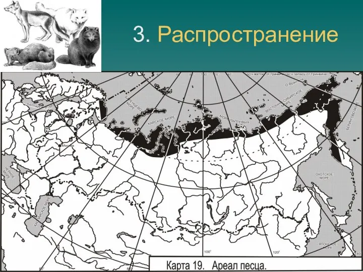 3. Распространение