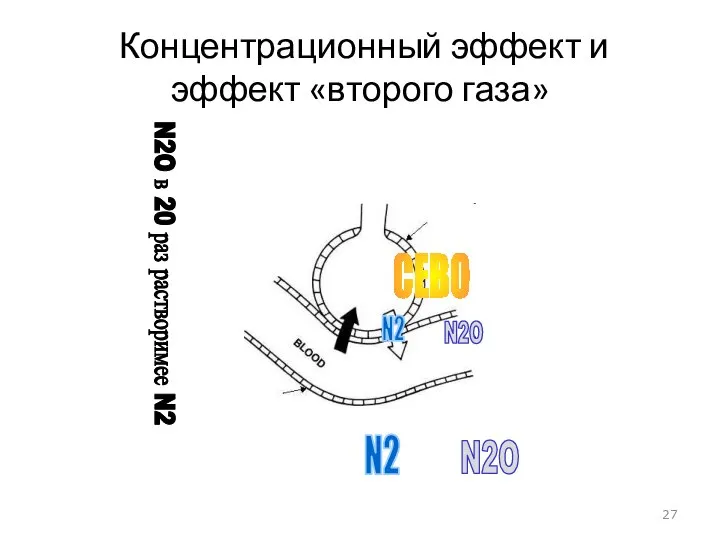 Концентрационный эффект и эффект «второго газа» N2O N2O N2 N2 СЕВО