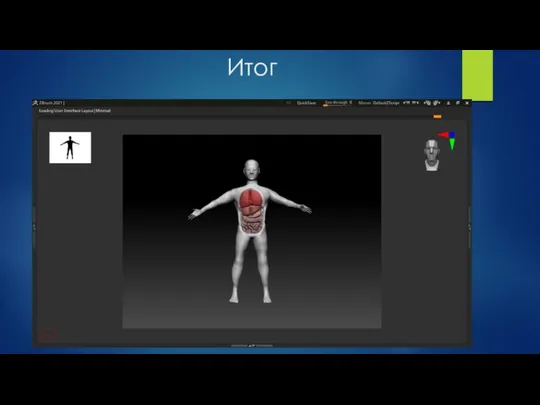Итог Я научился работать в программе ZBrush Я создал модель организма человека