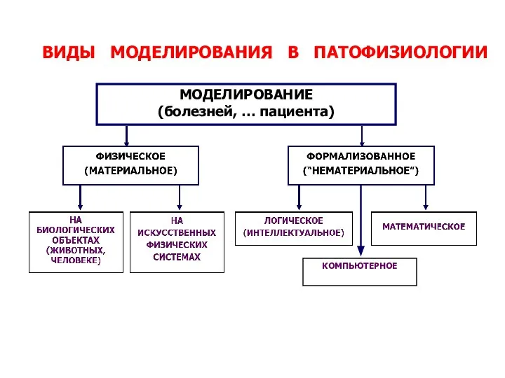 ВИДЫ МОДЕЛИРОВАНИЯ В ПАТОФИЗИОЛОГИИ МОДЕЛИРОВАНИЕ (болезней, … пациента)