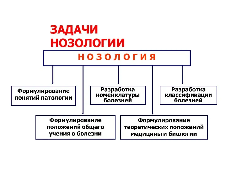 ЗАДАЧИ НОЗОЛОГИИ Н О З О Л О Г И Я