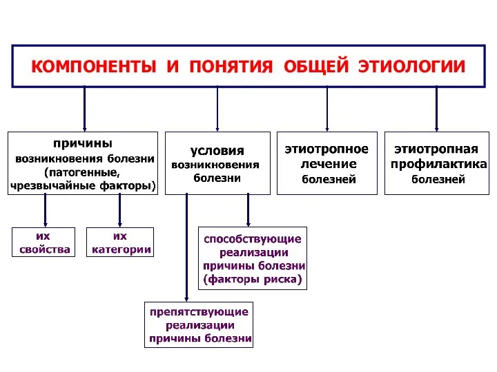 КОМПОНЕНТЫ И ПОНЯТИЯ ОБЩЕЙ ЭТИОЛОГИИ