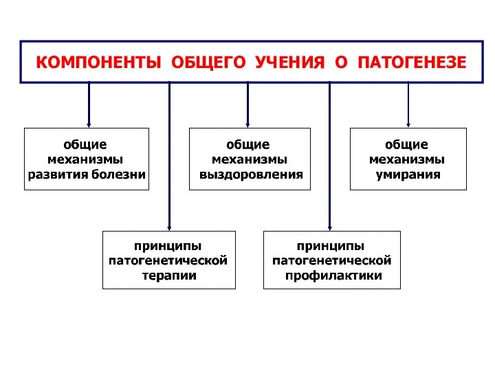 КОМПОНЕНТЫ ОБЩЕГО УЧЕНИЯ О ПАТОГЕНЕЗЕ