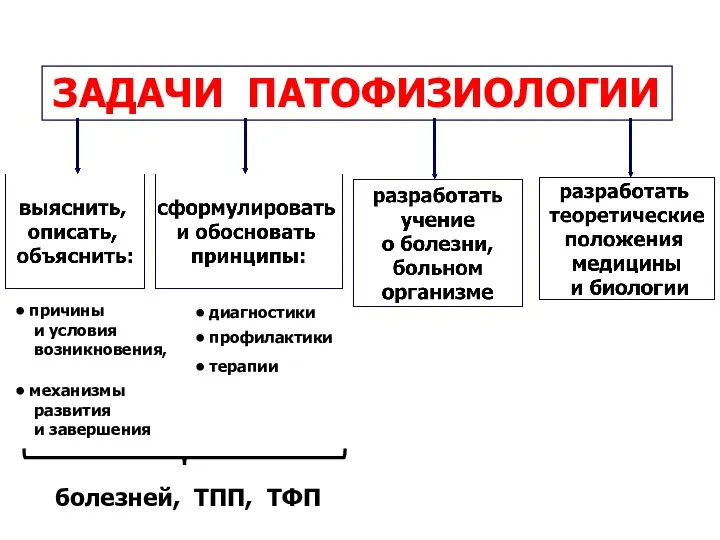 причины и условия возникновения, механизмы развития и завершения диагностики профилактики терапии болезней, ТПП, ТФП ЗАДАЧИ ПАТОФИЗИОЛОГИИ