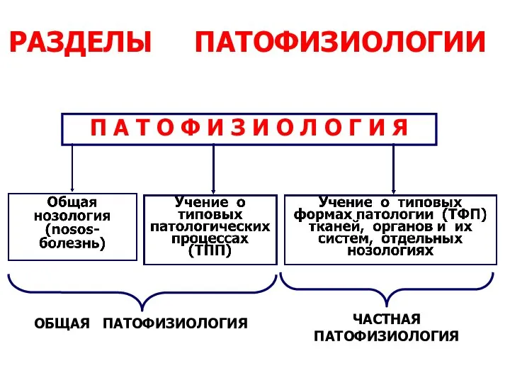 РАЗДЕЛЫ ПАТОФИЗИОЛОГИИ ОБЩАЯ ПАТОФИЗИОЛОГИЯ ЧАСТНАЯ ПАТОФИЗИОЛОГИЯ П А Т О Ф