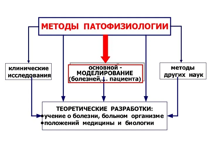 МЕТОДЫ ПАТОФИЗИОЛОГИИ ТЕОРЕТИЧЕСКИЕ РАЗРАБОТКИ: учение о болезни, больном организме положений медицины и биологии