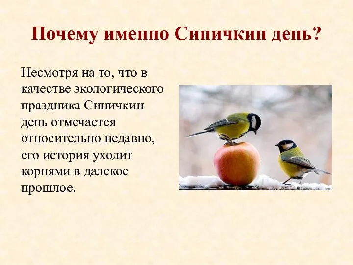 Почему именно Синичкин день? Несмотря на то, что в качестве экологического