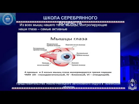 Представительство Ямало-Ненецкого автономного округа в Тюменской области ШКОЛА СЕРЕБРЯННОГО ВОЗРАСТА .