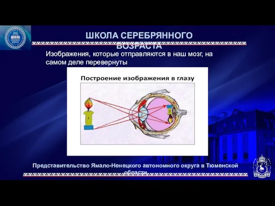 Представительство Ямало-Ненецкого автономного округа в Тюменской области ШКОЛА СЕРЕБРЯННОГО ВОЗРАСТА Изображения,