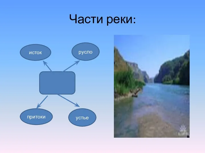 Части реки: исток русло притоки устье