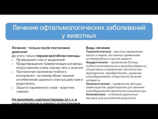 Лечение офтальмологических заболеваний у животных Лечение – только после постановки диагноза!