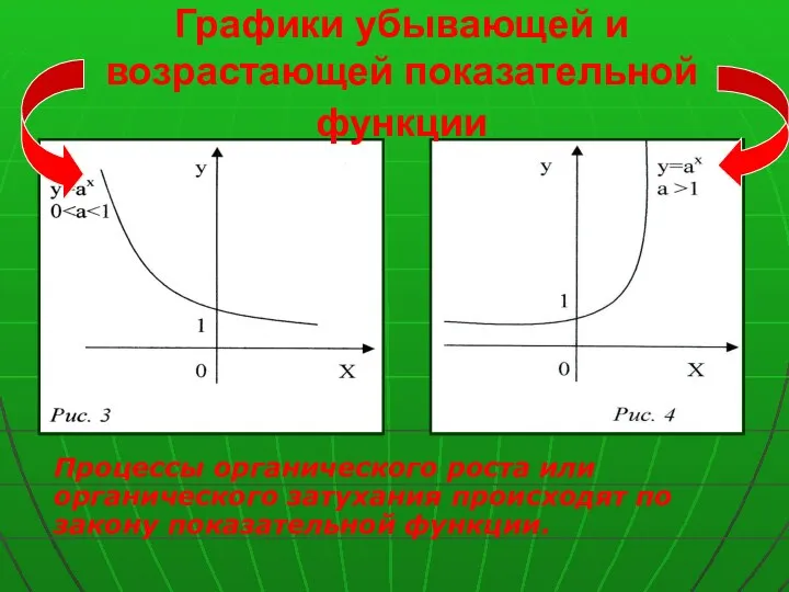 Графики убывающей и возрастающей показательной функции Процессы органического роста или органического