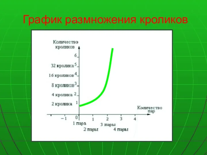 График размножения кроликов