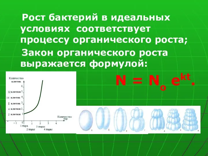 Рост бактерий в идеальных условиях соответствует процессу органического роста; Закон органического