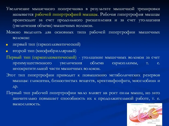 Увеличение мышечного поперечника в результате мышечной тренировки называется рабочей гипертрофией мышцы.