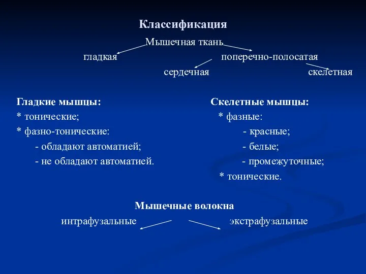 Классификация Мышечная ткань гладкая поперечно-полосатая сердечная скелетная Гладкие мышцы: Скелетные мышцы: