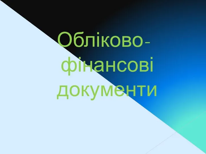 Обліково-фінансові документи