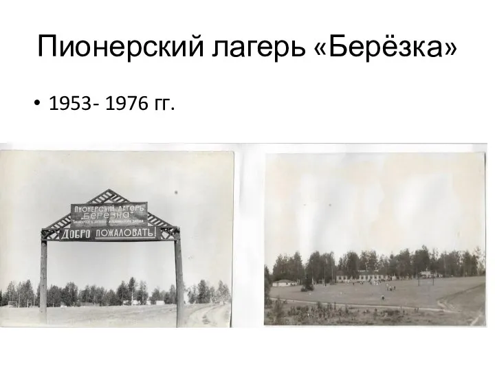 Пионерский лагерь «Берёзка» 1953- 1976 гг.