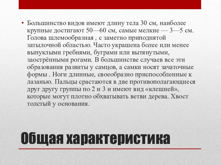 Общая характеристика Большинство видов имеют длину тела 30 см, наиболее крупные