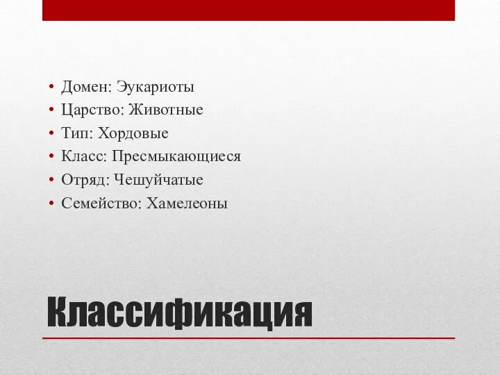 Классификация Домен: Эукариоты Царство: Животные Тип: Хордовые Класс: Пресмыкающиеся Отряд: Чешуйчатые Семейство: Хамелеоны