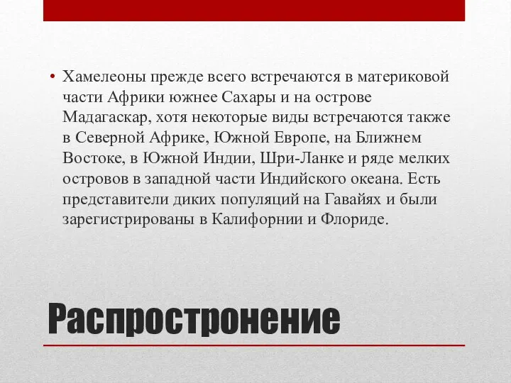 Распростронение Хамелеоны прежде всего встречаются в материковой части Африки южнее Сахары